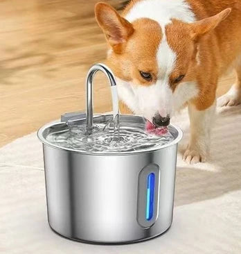 Automatic water dispenser